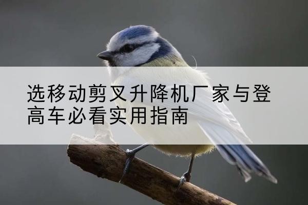 民勤电动升降机厂家-选移动剪叉升降机厂家与登高车必看实用指南
