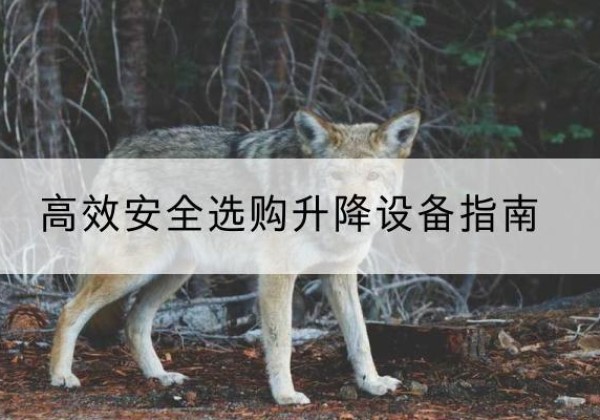 民勤升降货梯厂家推荐-*安全选购升降设备指南