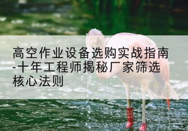 民勤剪叉式升降机厂家-高空作业设备选购实战指南-十年工程师揭秘厂家筛选核心法则